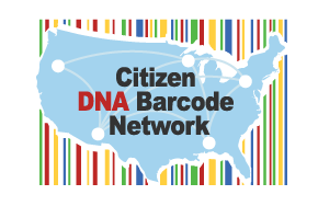 CDBN logo colored bars over a silhouette of mainland USA 