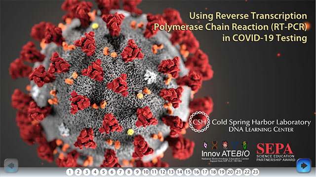 Using Reverse Transcription PCR in COVID-19 Testing