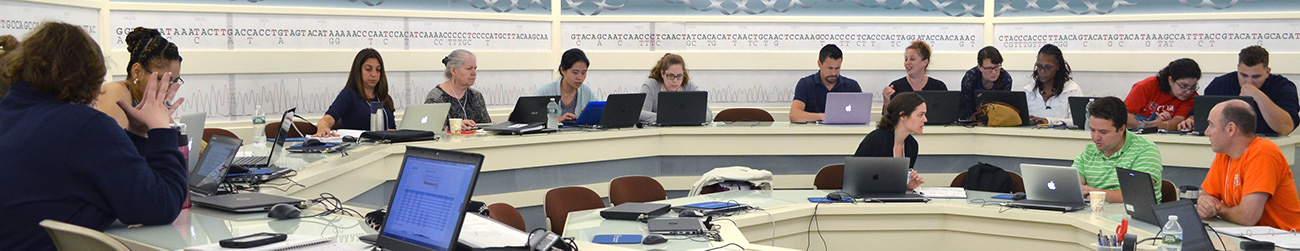 15 educators collaborating and using laptops in the DNALC computer laboratory during training