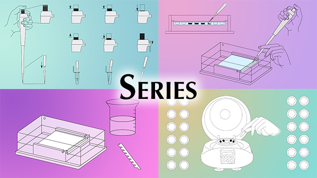Illustrations of several items of laboratory equipment including pipettes, gel boxes, centrifuge.