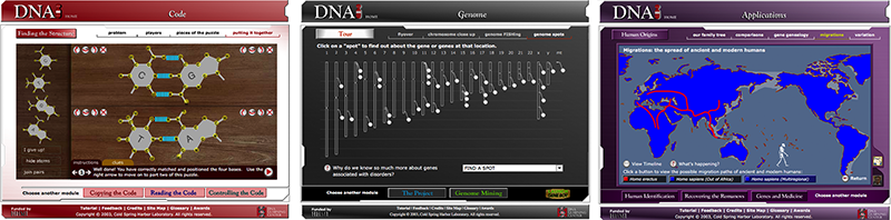 DNA Interactive website screens
